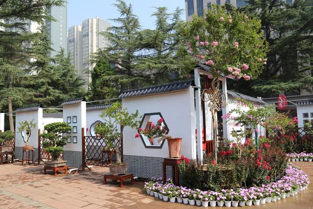 紫薇花开铺满径 诗画交融醉游人