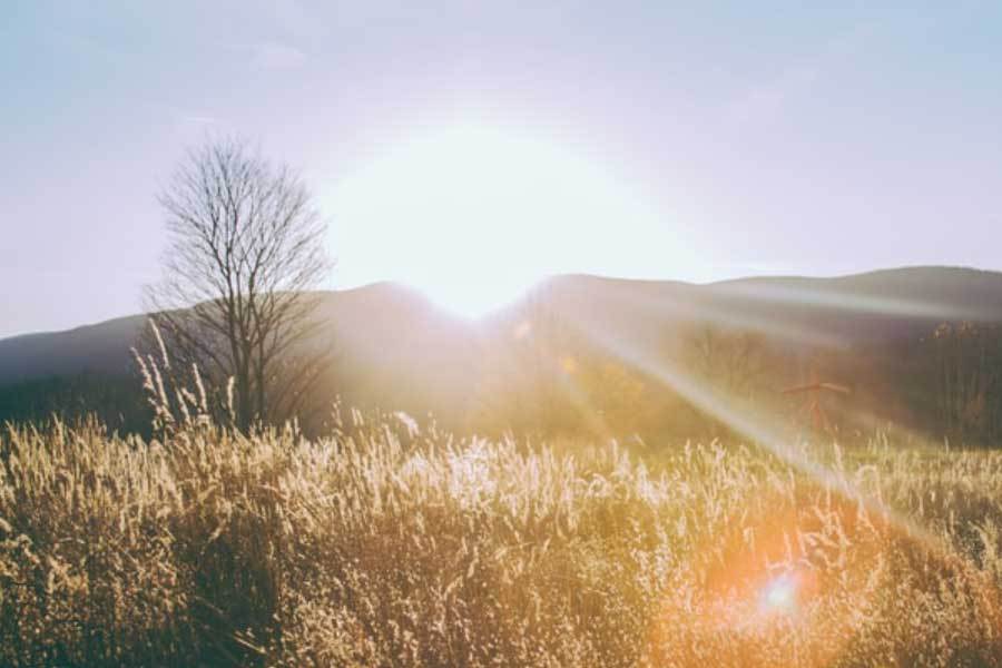 电动汽车与自行车道整合规划
